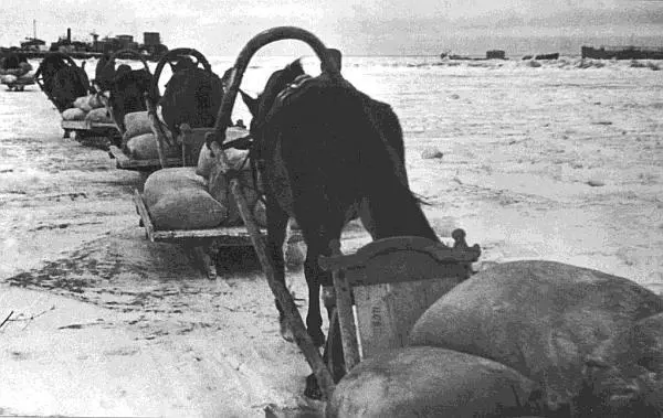 20 ноября 1941 года по Ладоге прошел первый санный обоз от Осиновца к Кобоне - фото 68
