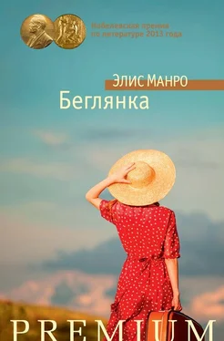 Элис Манро Беглянка (сборник) обложка книги