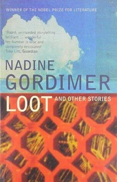 Nadine Gordimer Loot and Other Stories обложка книги