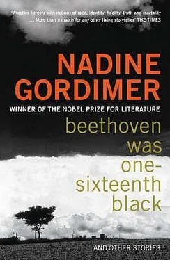 Nadine Gordimer Beethoven Was One-Sixteenth Black обложка книги