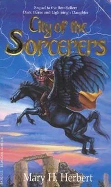 Mary Herbert City of Sorcerers обложка книги