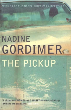 Nadine Gordimer The Pickup обложка книги