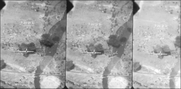 An attack on a bush target seen through a cameragun sight Such was not the - фото 32
