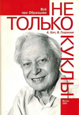 Александр Хорт Не только куклы обложка книги