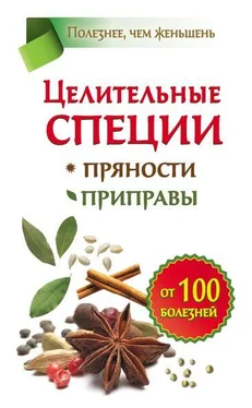 Виктория Карпухина Целительные специи. Пряности. Приправы. От 100 болезней обложка книги