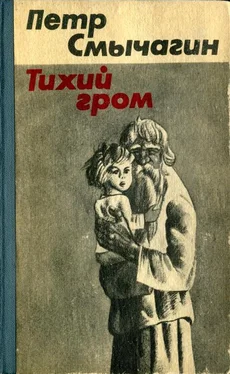 Петр Смычагин Тихий гром. Книга четвертая обложка книги