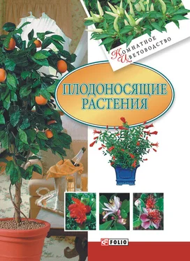 Татьяна Дорошенко Плодоносящие растения обложка книги