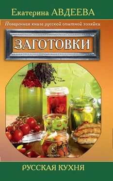 Екатерина Авдеева Поваренная книга русской опытной хозяйки. Заготовки обложка книги