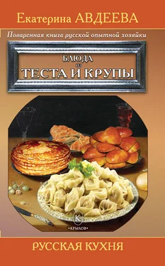 Екатерина Авдеева Поваренная книга русской опытной хозяйки. Блюда из теста и крупы обложка книги