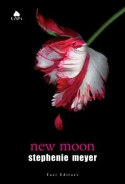 Stephenie Meyer New Moon обложка книги