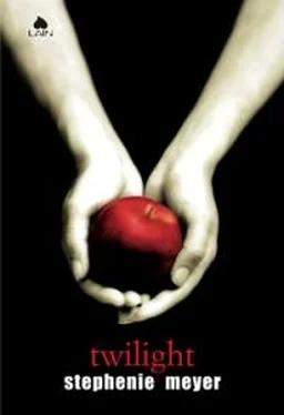 Stephenie Meyer Twilight обложка книги