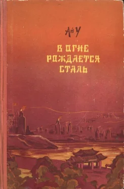 Ай У В огне рождается сталь обложка книги