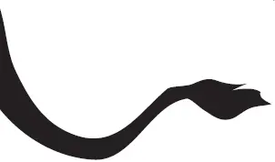 Жарри и его однокашник Анри Морен написали пьесу под названием Поляки Они - фото 16