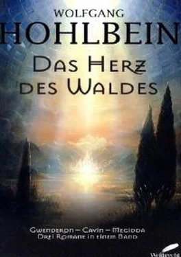 Wolfgang Hohlbein Das Herz des Waldes обложка книги