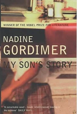 Nadine Gordimer My Son's Story обложка книги