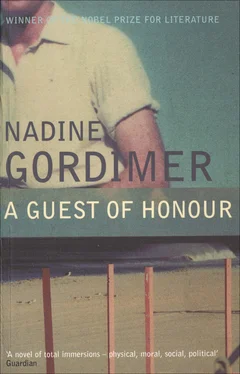 Nadine Gordimer A Guest of Honour обложка книги