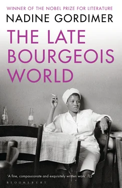 Nadine Gordimer The Late Bourgeois World обложка книги