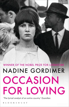 Nadine Gordimer Occasion for Loving обложка книги