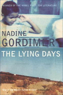 Nadine Gordimer The Lying Days обложка книги