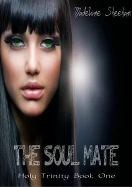 Madeline Sheehan The Soul Mate обложка книги