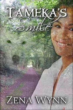 Zena Wynn Tameka's Smile обложка книги