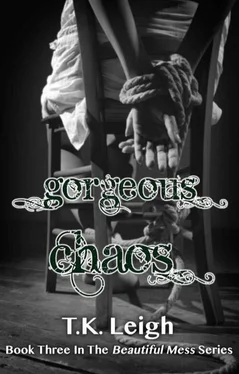 T. Leigh Gorgeous Chaos обложка книги