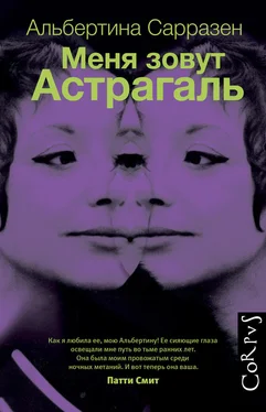 Альбертина Сарразен Меня зовут Астрагаль обложка книги