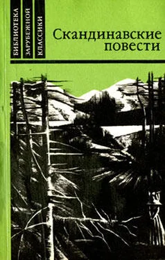 Вильхельм Муберг Мужняя жена обложка книги