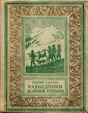 Георгий Тушкан Разведчики Зеленой страны обложка книги