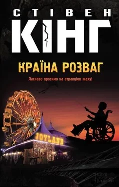 Стівен Кінг Країна розваг обложка книги