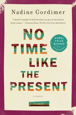 Nadine Gordimer No Time Like the Present обложка книги