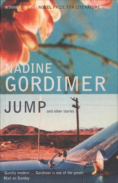 Nadine Gordimer Jump and Other Stories обложка книги