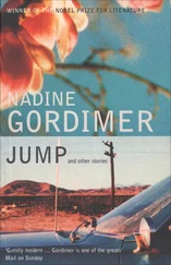 Nadine Gordimer - Jump and Other Stories