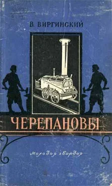 Виктор Виргинский Черепановы обложка книги