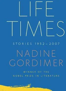 Nadine Gordimer Life Times: Stories 1952-2007 обложка книги