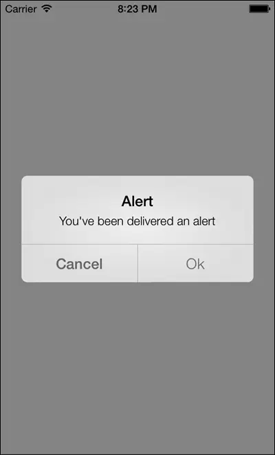 Рис 12Простой видпредупреждение отображаемый у пользователя Чтобы показать - фото 2
