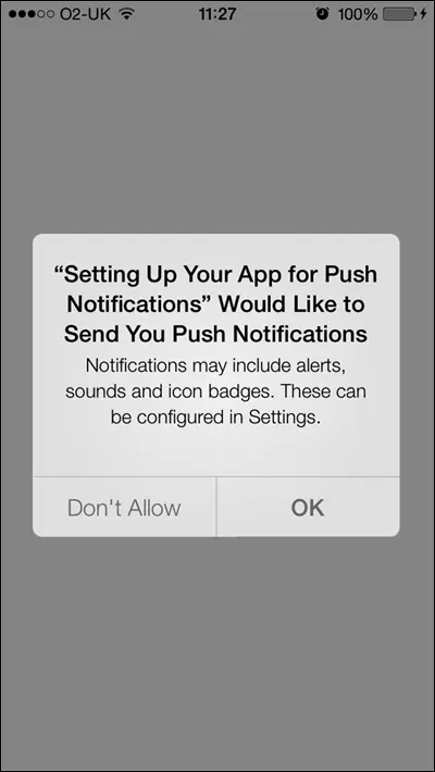 Рис 157iOS выдает пользователю запрос о разрешении на получение - фото 180