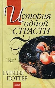 Патриция Поттер История одной страсти обложка книги