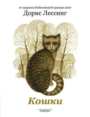 Дорис Лессинг Кошки обложка книги