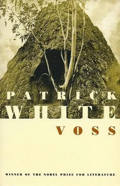 Patrick White Voss обложка книги