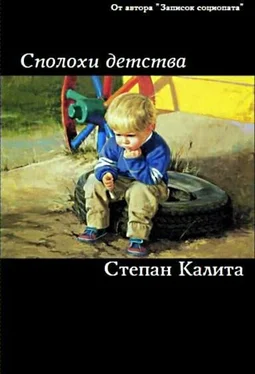 Степан Калита Сполохи детства обложка книги