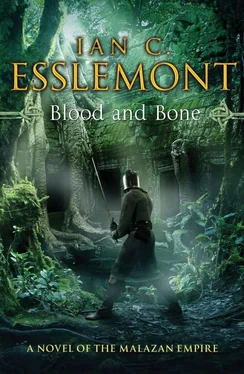 Ian Esslemont Blood and Bone обложка книги