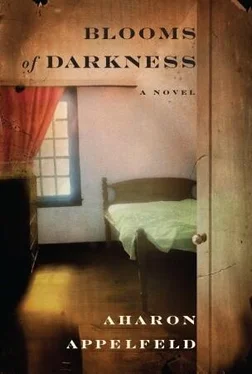 Aharon Appelfeld Blooms of Darkness обложка книги