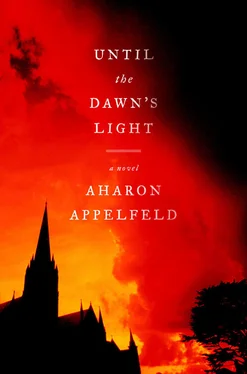 Aharon Appelfeld Until the Dawn's Light обложка книги