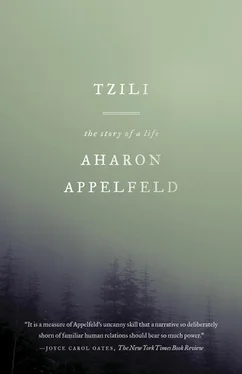 Aharon Appelfeld Tzili: The Story of a Life обложка книги