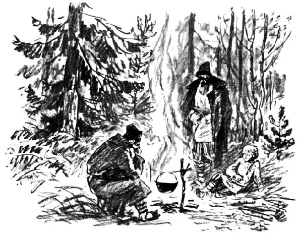 Глава 1 Третью неделю доживали Виричевы в лесной трущобе за Шемоксой В - фото 18