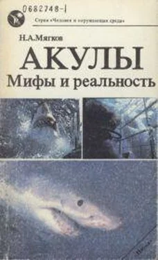 Николай Мягков Акулы: Мифы и реальность обложка книги