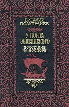 Виталий Полупуднев Восстание на Боспоре обложка книги