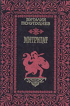 Виталий Полупуднев Митридат обложка книги