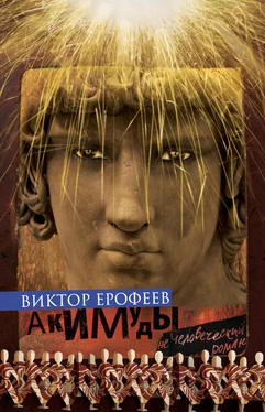 Виктор Ерофеев Акимуды обложка книги